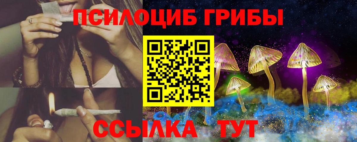 купить закладку  Галлюциногенные грибы Magic Shrooms  Вход с VPN  Калининград  Псилоцибиновые грибы Magic Shrooms 
